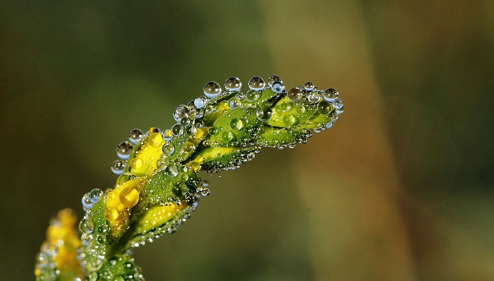 après la pluie !