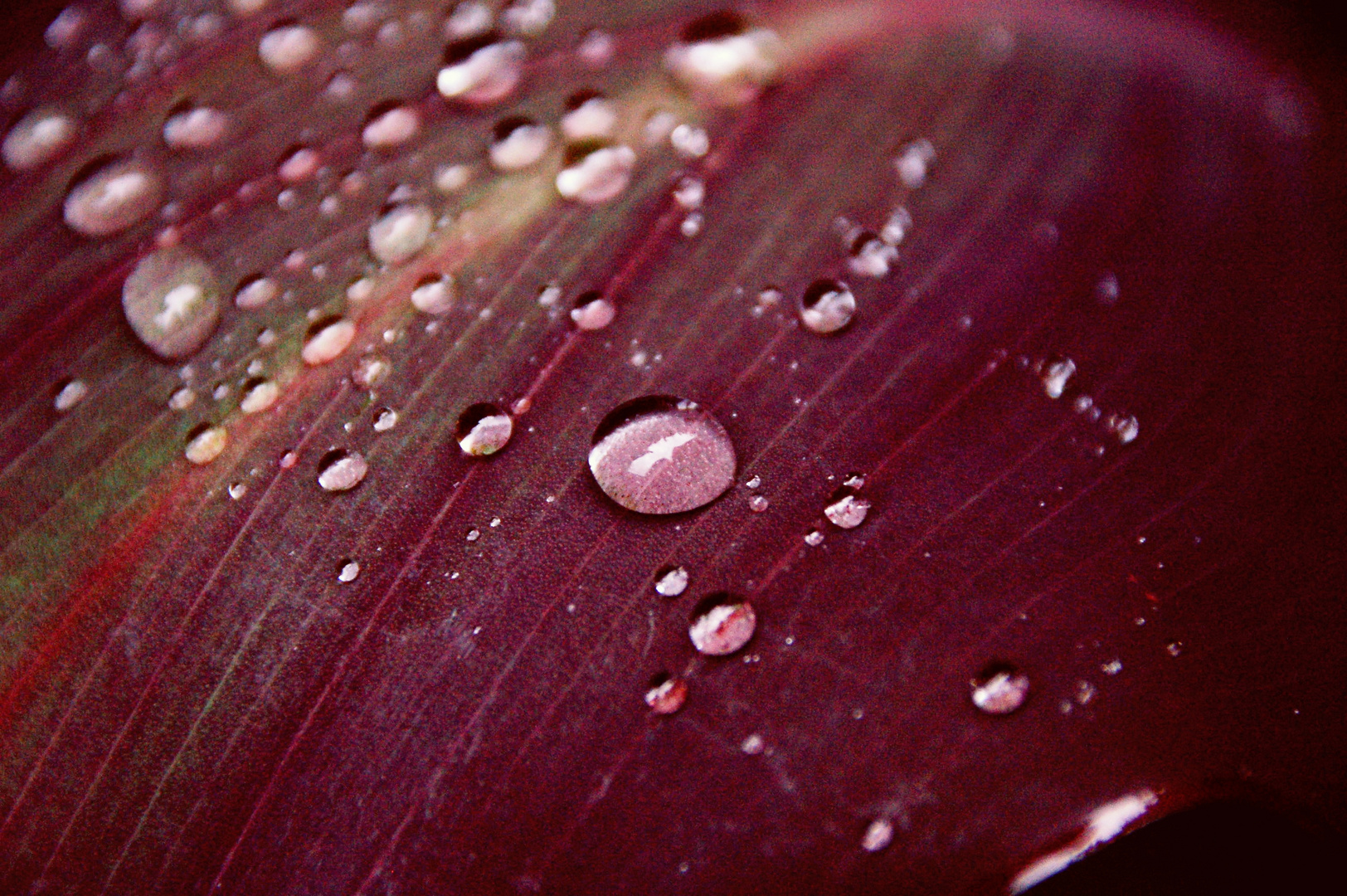 Après la pluie