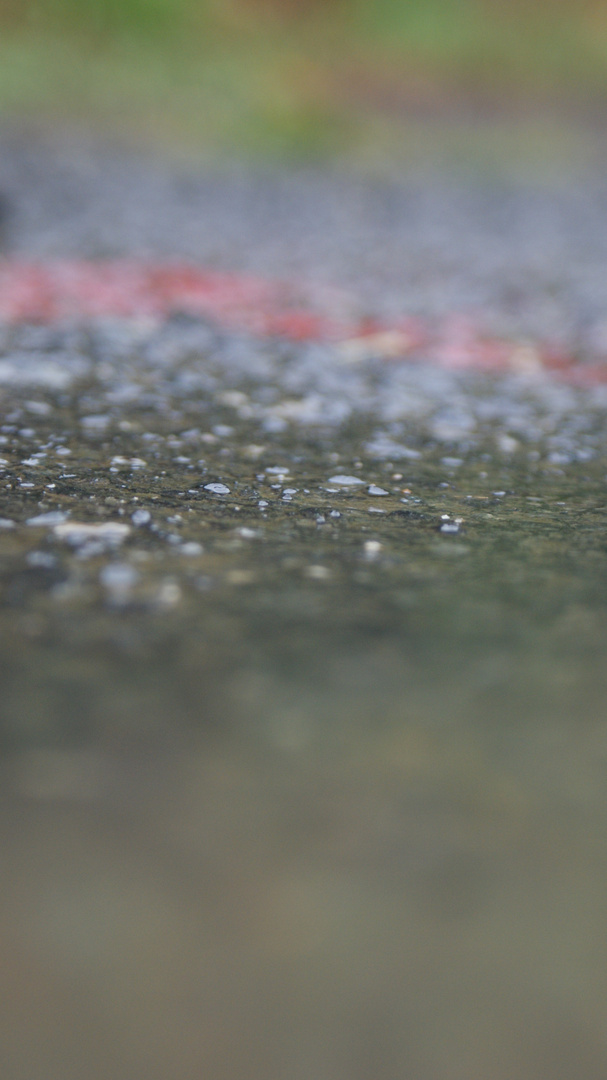 Après la pluie (3)