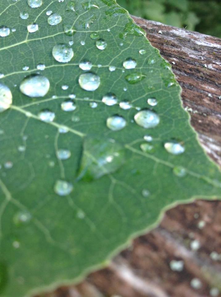 Après la pluie