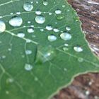 Après la pluie