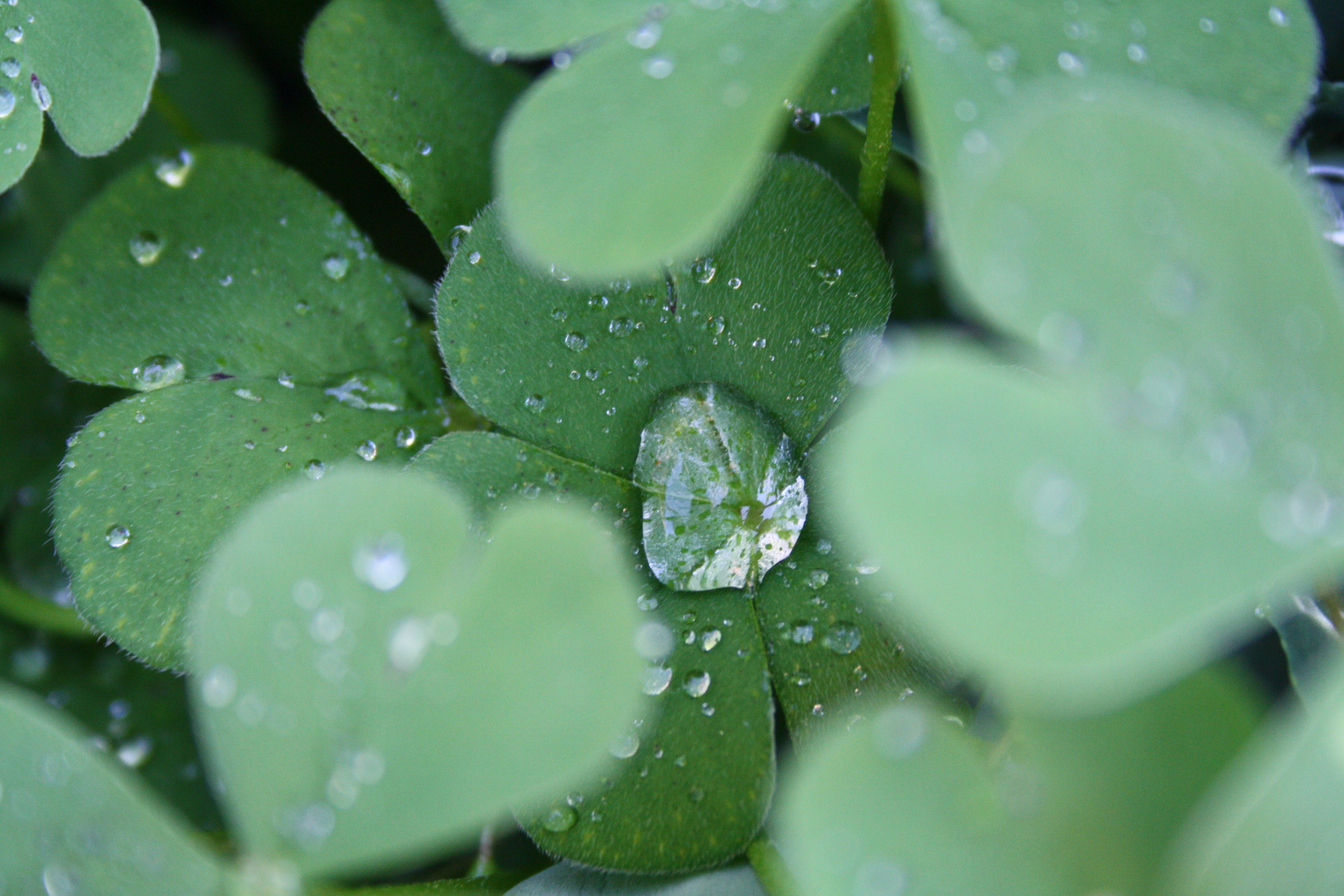 après la pluie