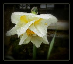 après la pluie