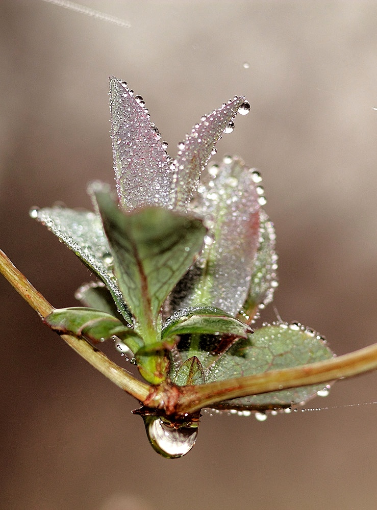 après la pluie !