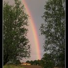 Après la pluie