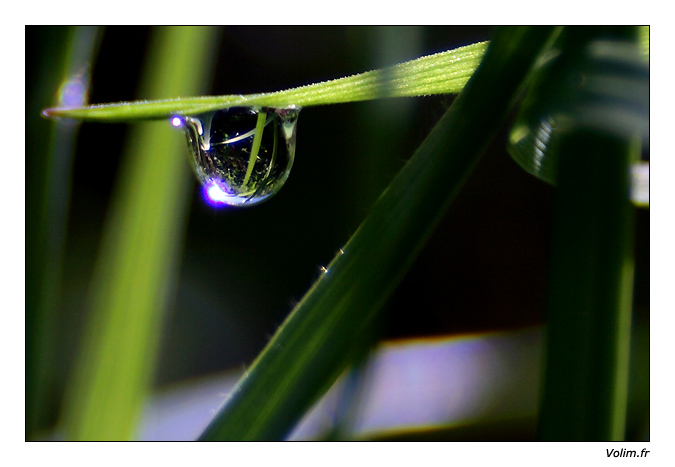 Après la pluie