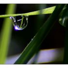 Après la pluie