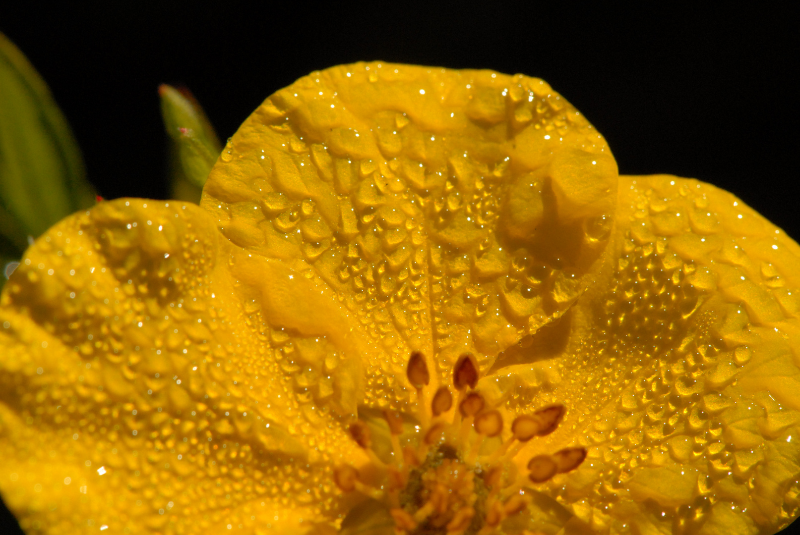 après la pluie