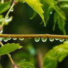 Après la pluie