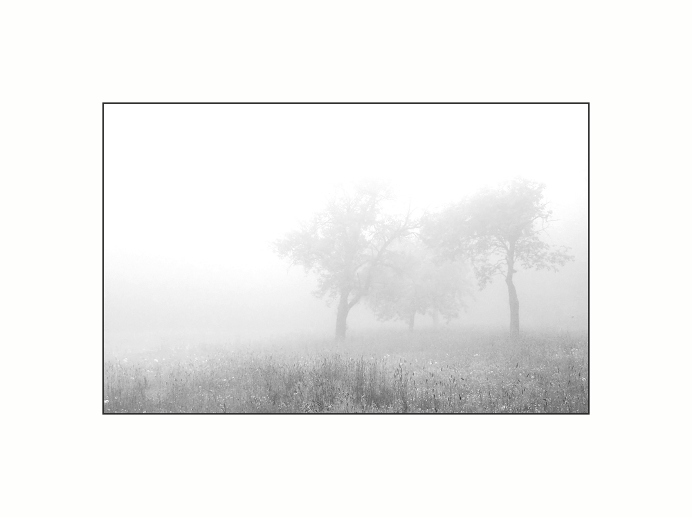 ... après la pluie ...