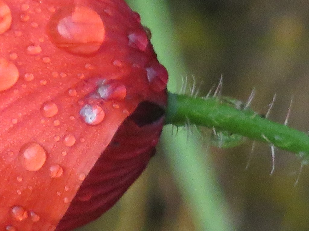 après la pluie