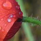 après la pluie