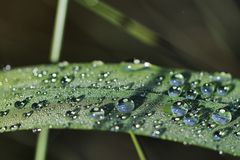 Après la pluie !