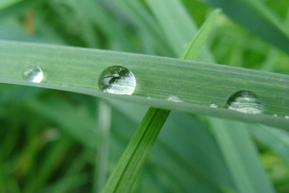 Apres la pluie