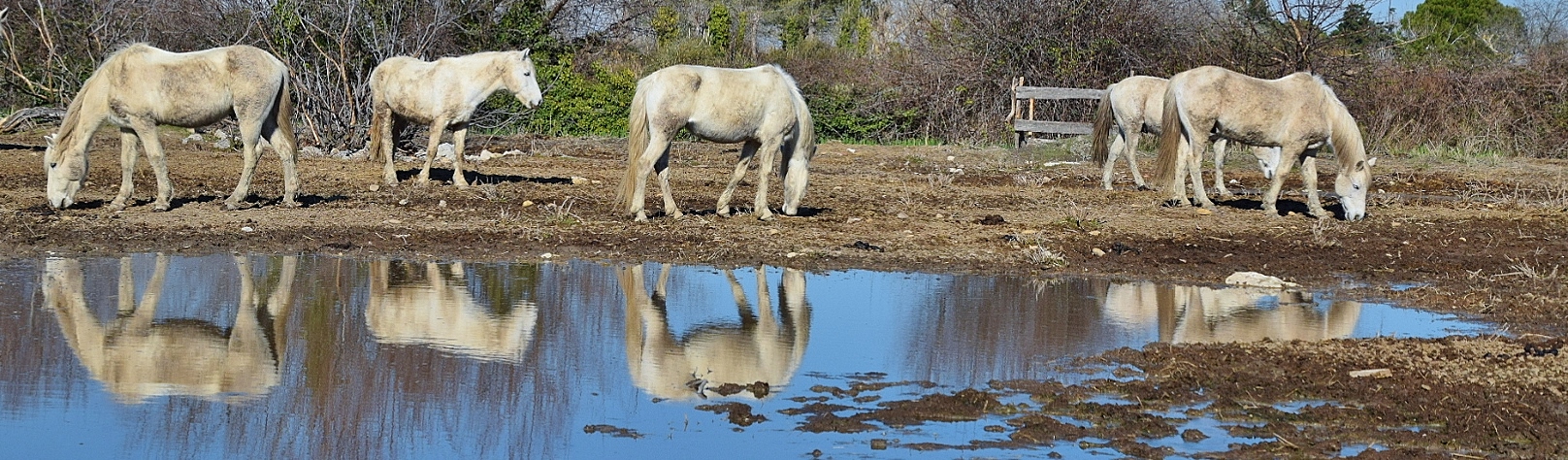 Après la pluie.