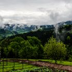 Après la pluie