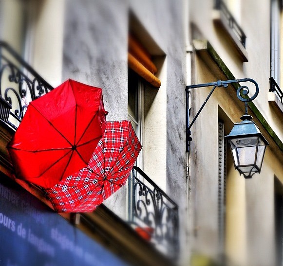 Après la pluie ...