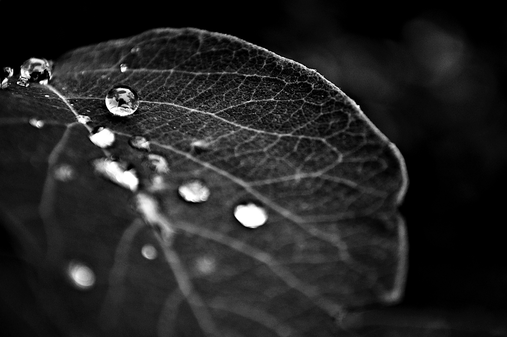 Après la pluie