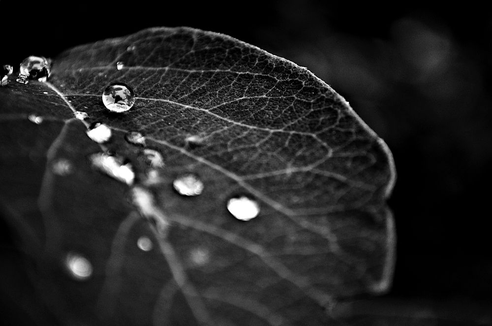 Après la pluie