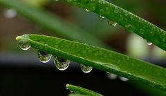 après la pluie !!!