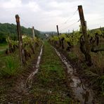 APRES LA PLUIE DE CES DERNIERS JOURS