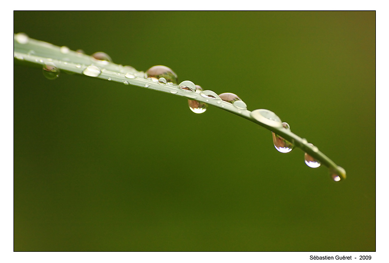 après la pluie ...