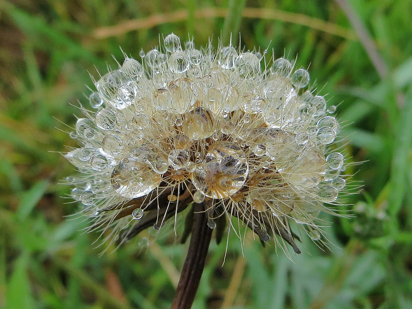 après la pluie !