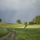 Après la pluie....