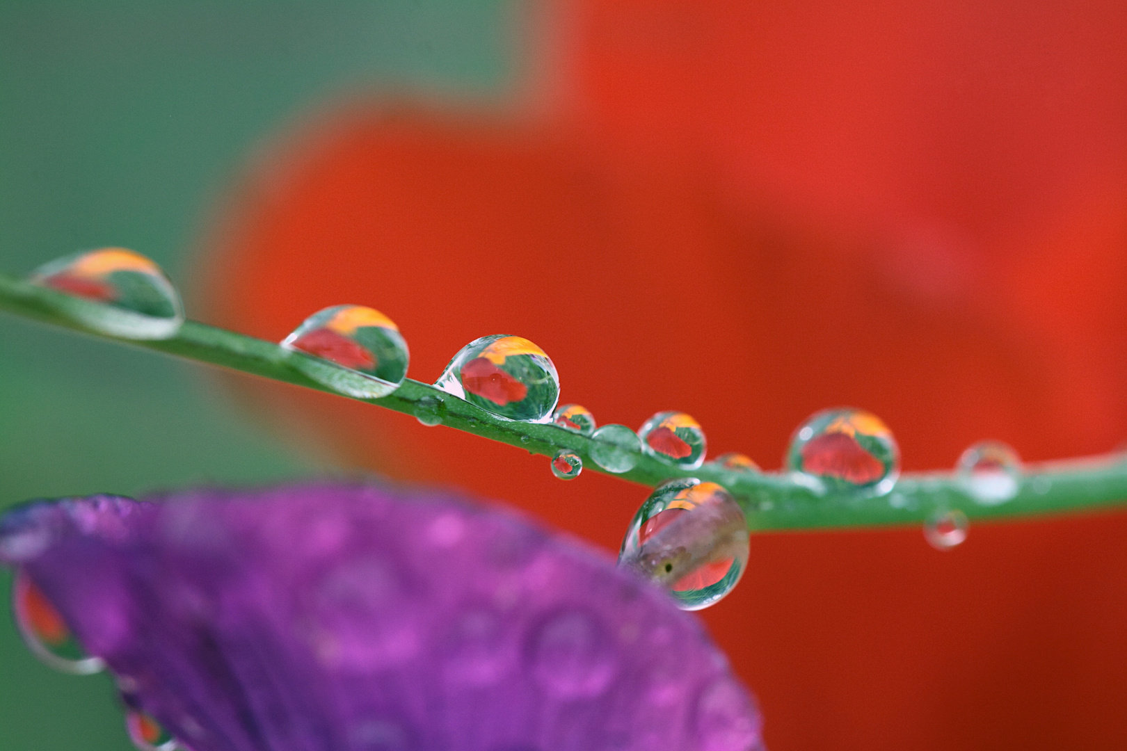 apres la pluie