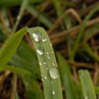 après la pluie