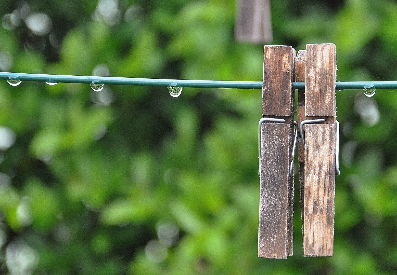 Après la pluie !