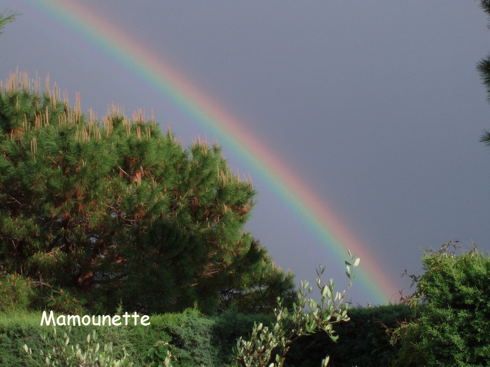 Après la pluie... l'arc en ciel...