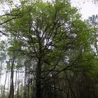 Après la pluie le beau temps !