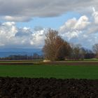 Après la pluie le beau temps !