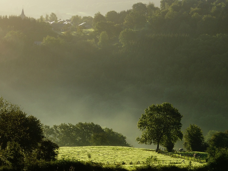 Après la pluie le beau temps sur Mormont...