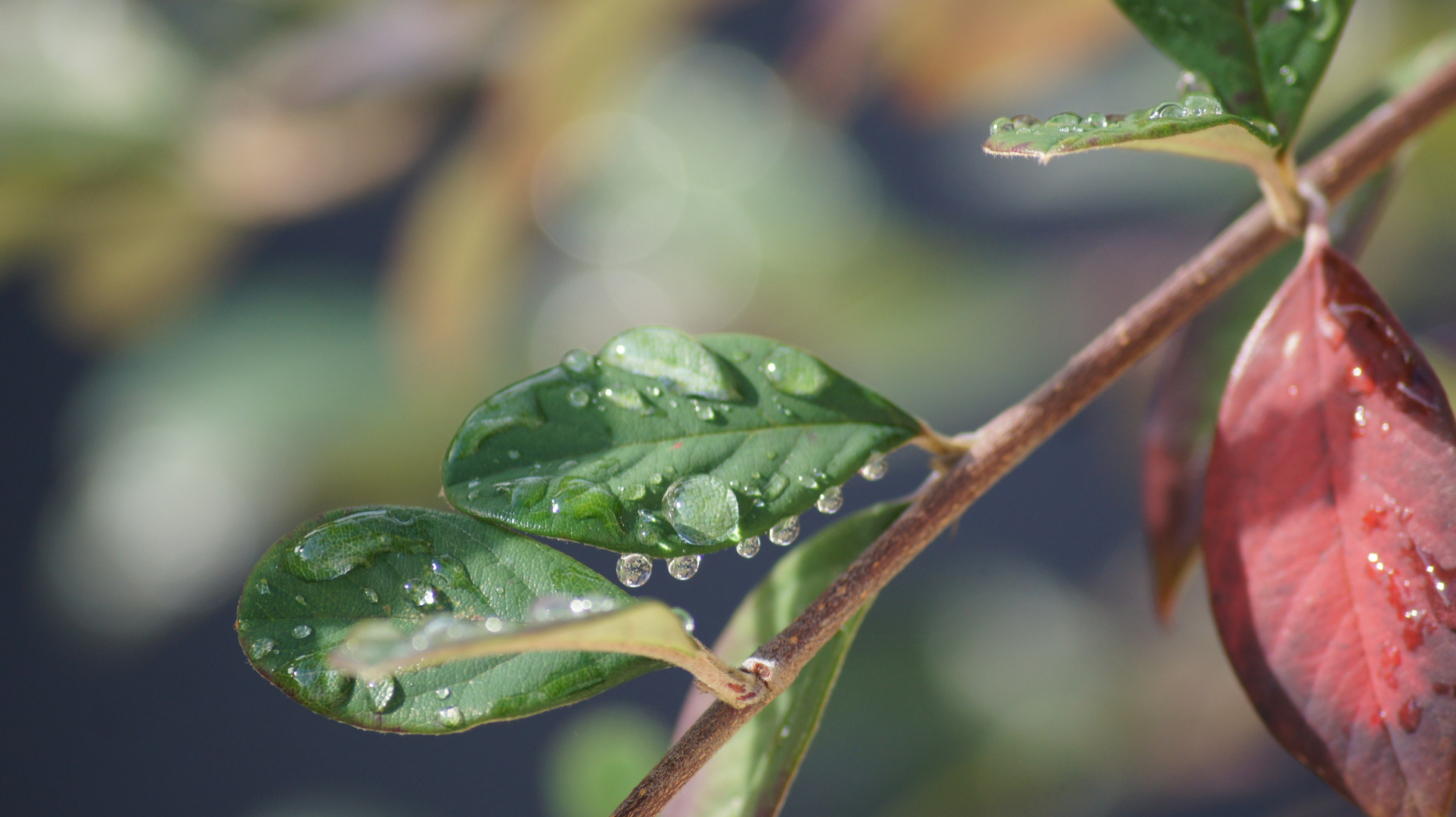 apres la pluie,le beau temps!!