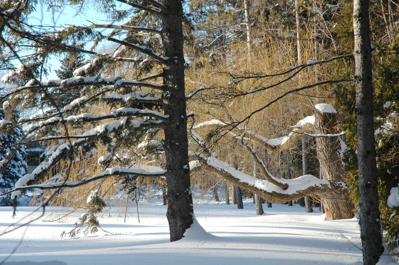 après la tempete de neige