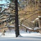 après la tempete de neige