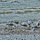 Après la tempête