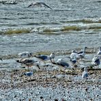 Après la tempête