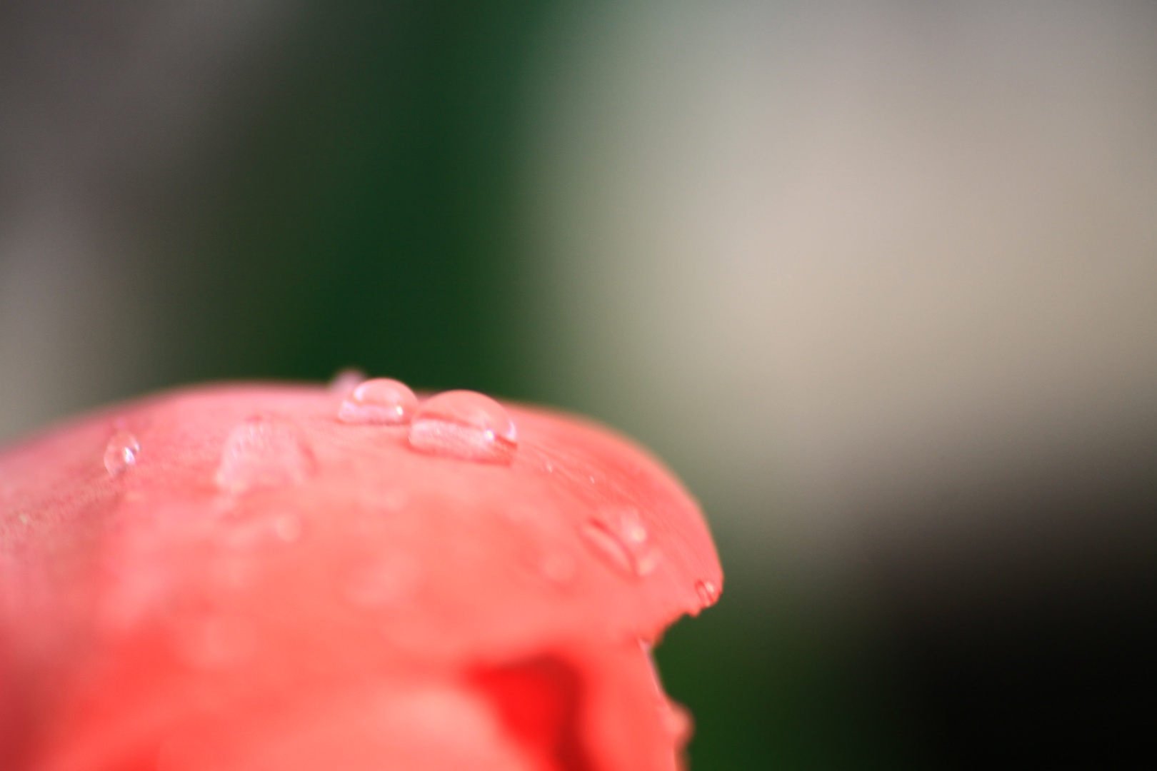 après le pluie