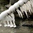 Après les dents de la mer , celles du Lac !!!