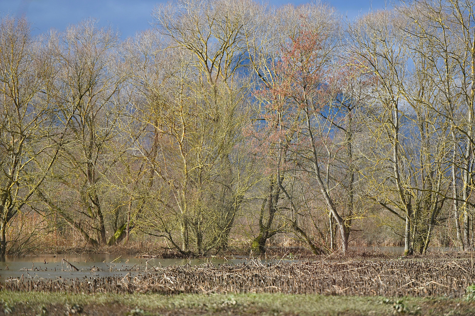 Après les inondations