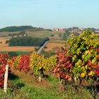 Après les vendanges