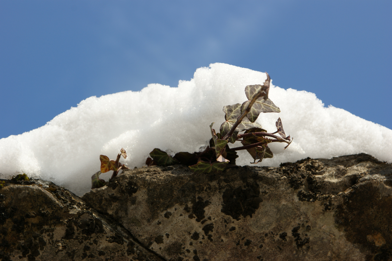 Après l'hiver, le printemps !