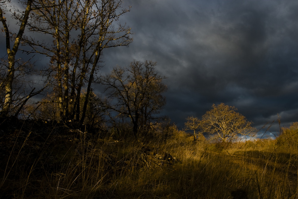 Après l'orage