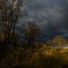 Après l'orage