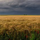 Après l'orage ...