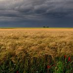 Après l'orage ...