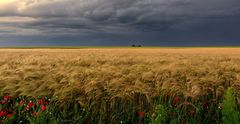 Après l'orage ...